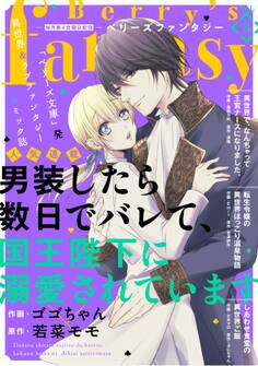 Berry's Fantasy vol.03