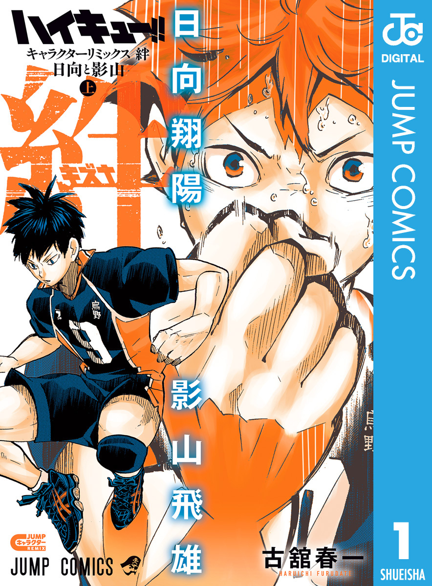 ハイキュー！！ キャラクターリミックス 絆 日向と影山 上