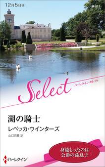 湖の騎士