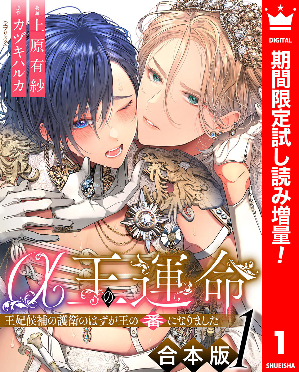 【合本版】α王の運命～王妃候補の護衛のはずが王の番になりました～【期間限定試し読み増量】 1