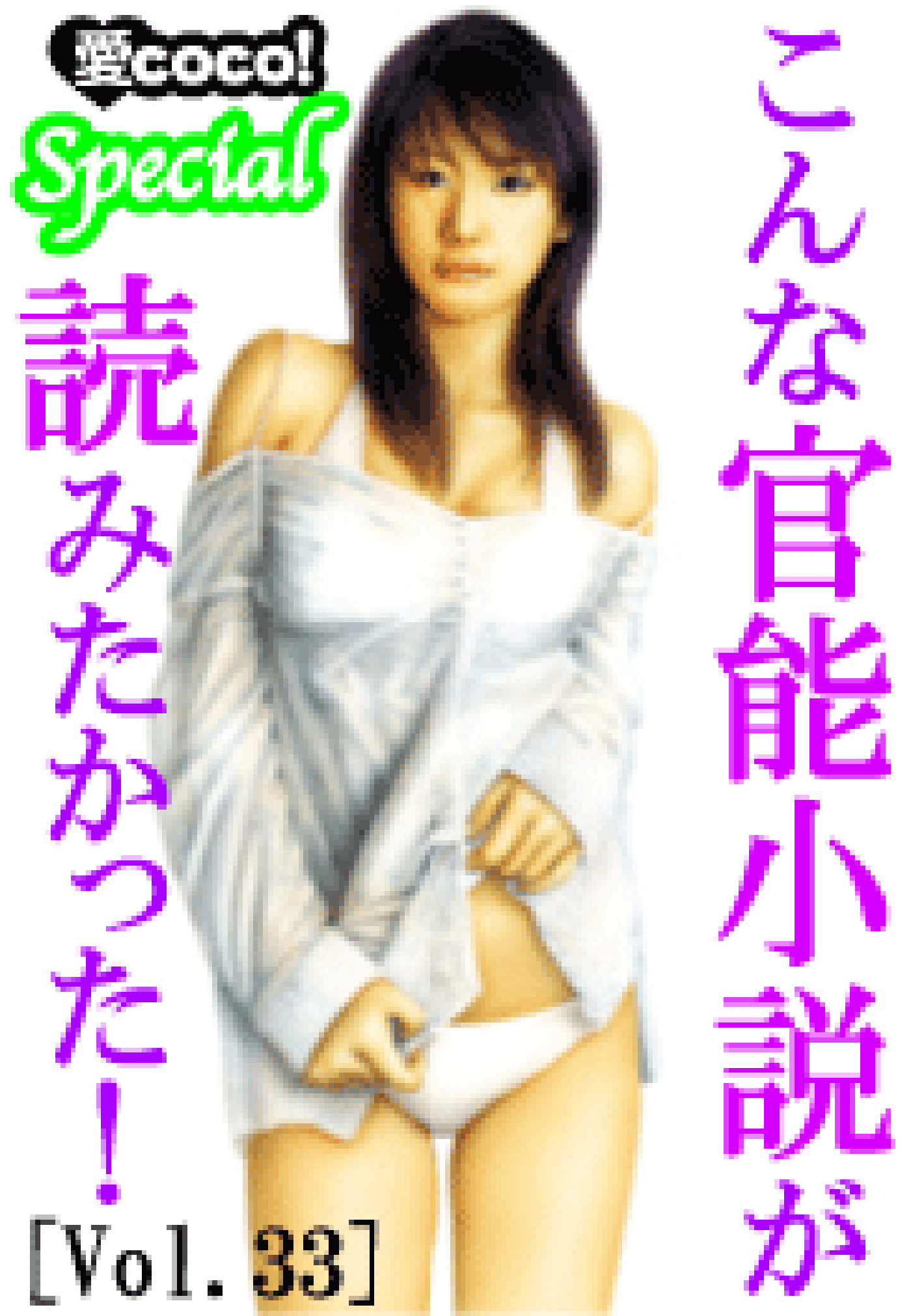 こんな官能小説が読みたかった！vol.33