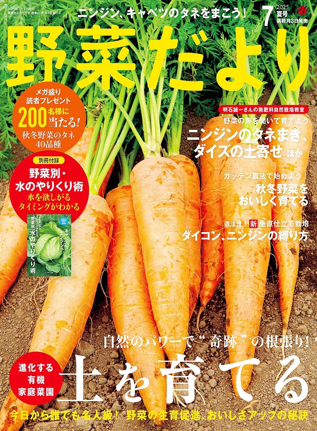 野菜だより (2025年7月号)
