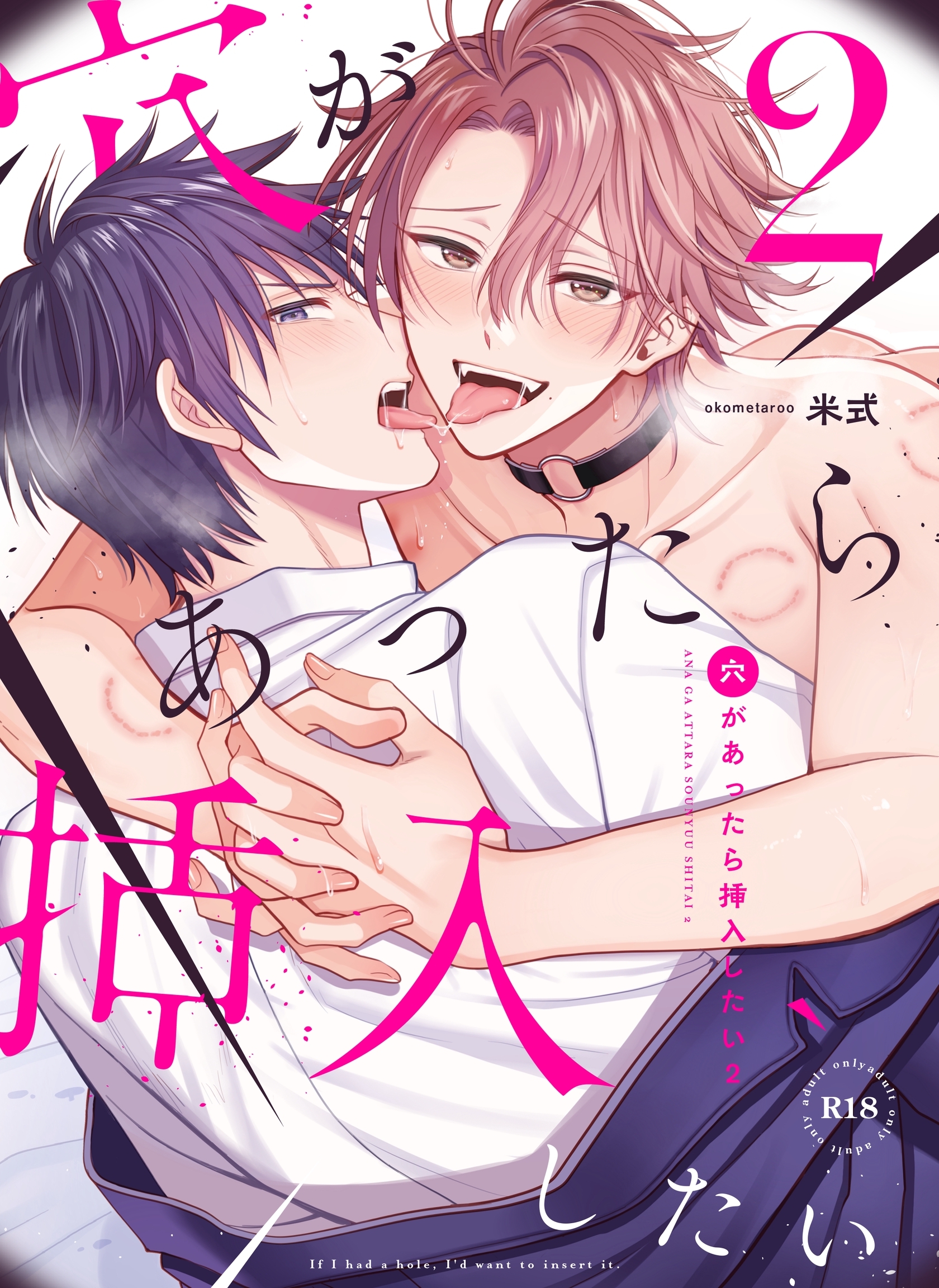 穴があったら挿入したい