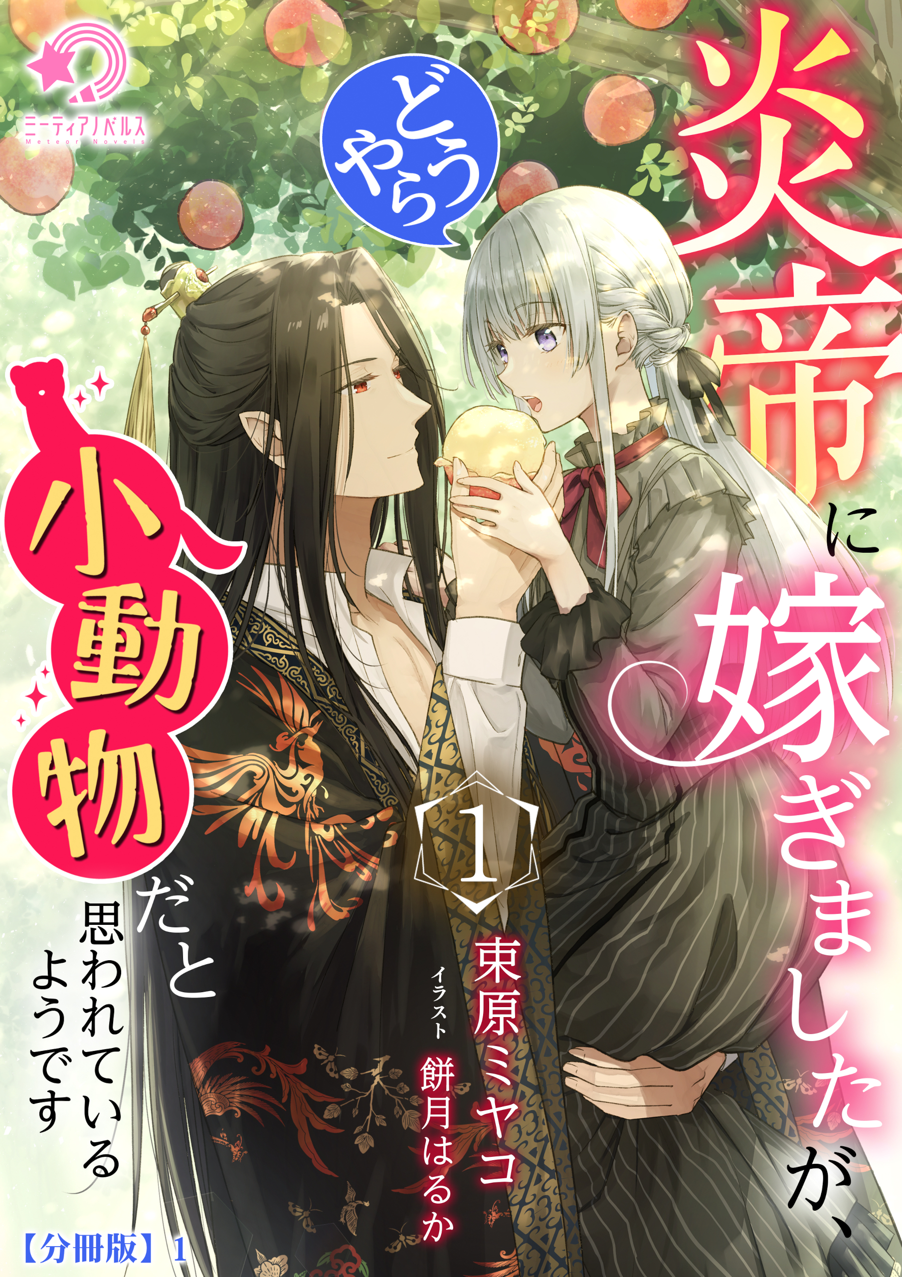 【期間限定　無料お試し版　閲覧期限2026年5月18日】炎帝に嫁ぎましたが、どうやら小動物だと思われているようです（１）【分冊版】1