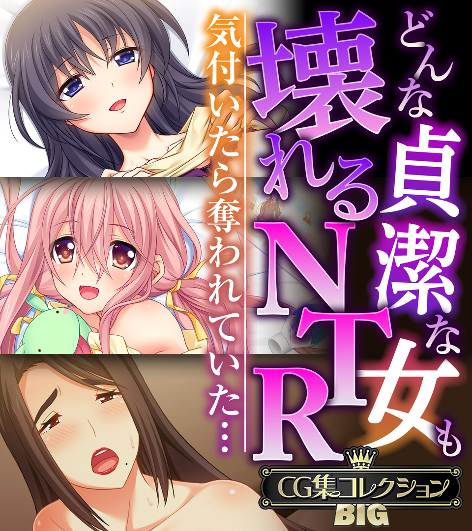 どんな貞潔な女も壊れるNTR～気付いたら奪われていた…～【CG集コレクションBIG】