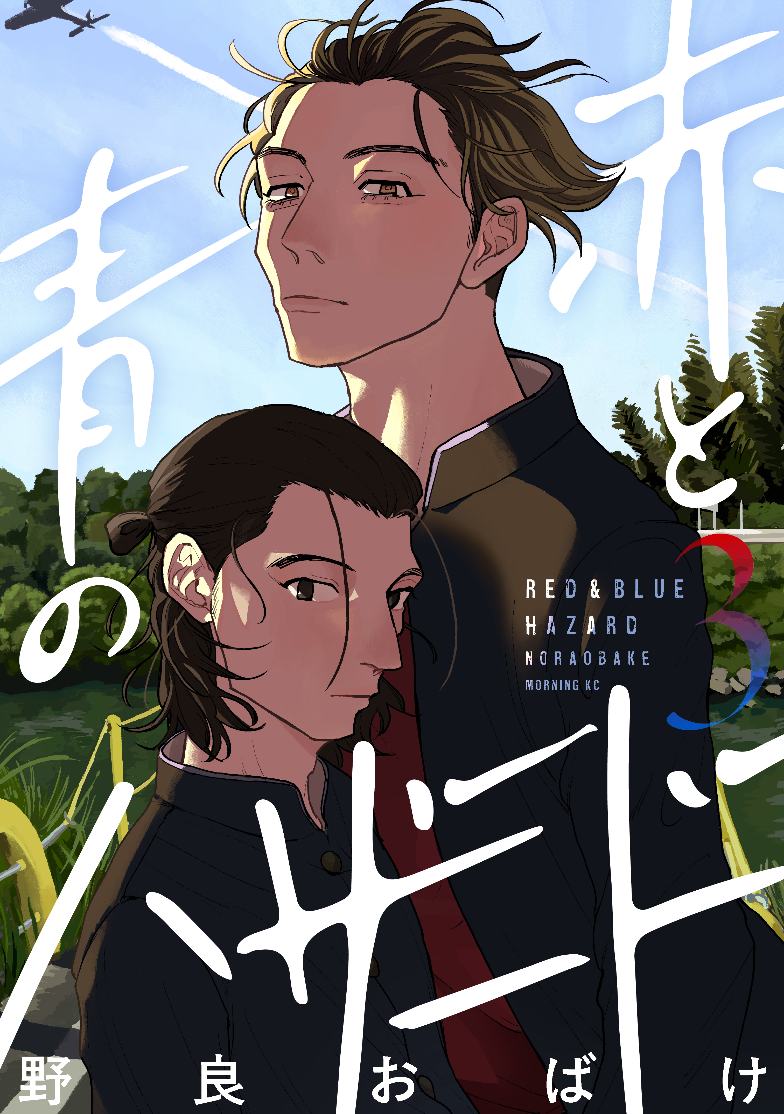 赤と青のハザード