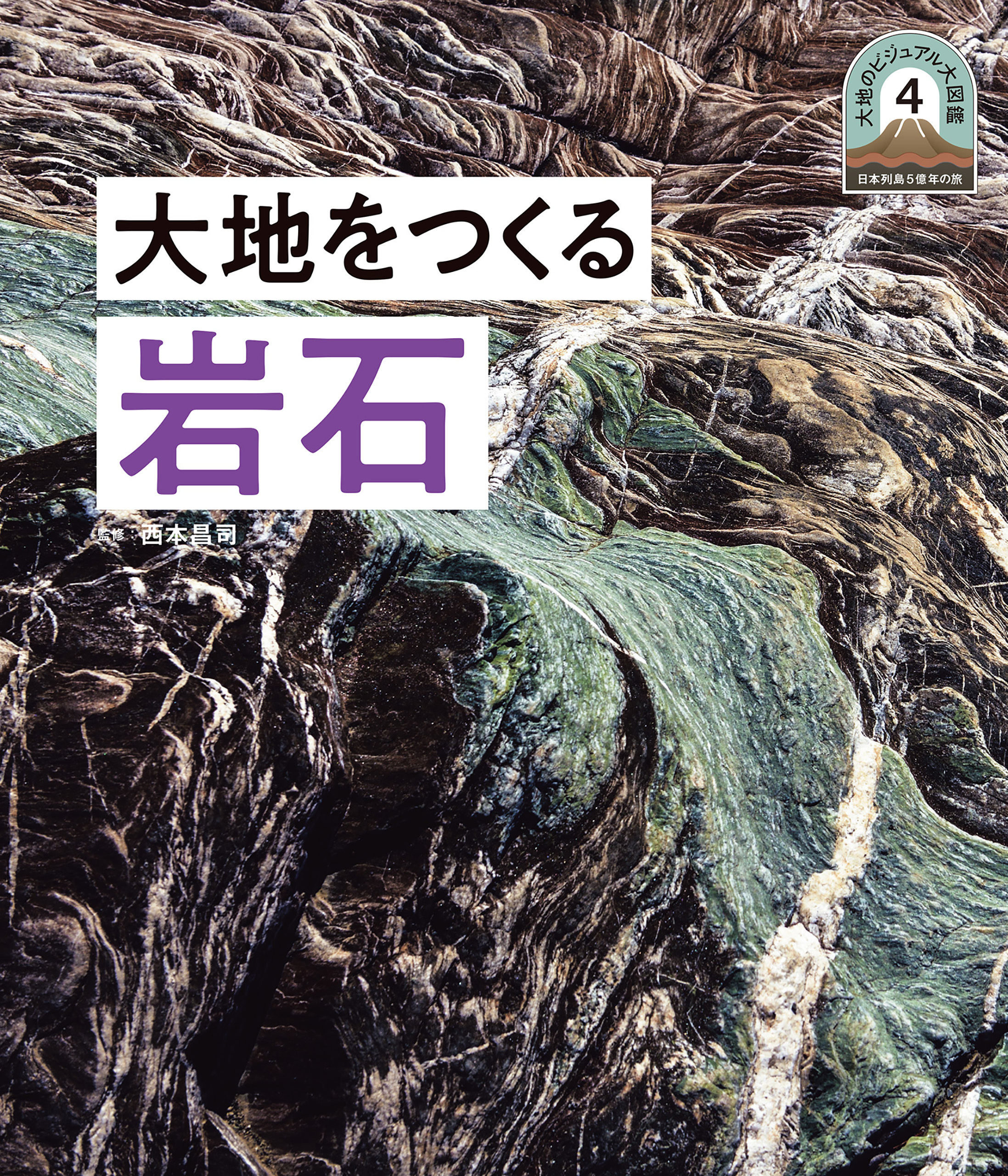 大地をつくる岩石４　日本列島５億年の旅　大地のビジュアル大図鑑