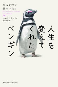 人生を変えてくれたペンギン 海辺で君を見つけた日