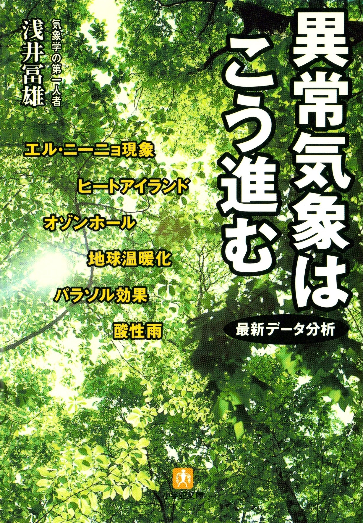 異常気象はこう進む（小学館文庫）