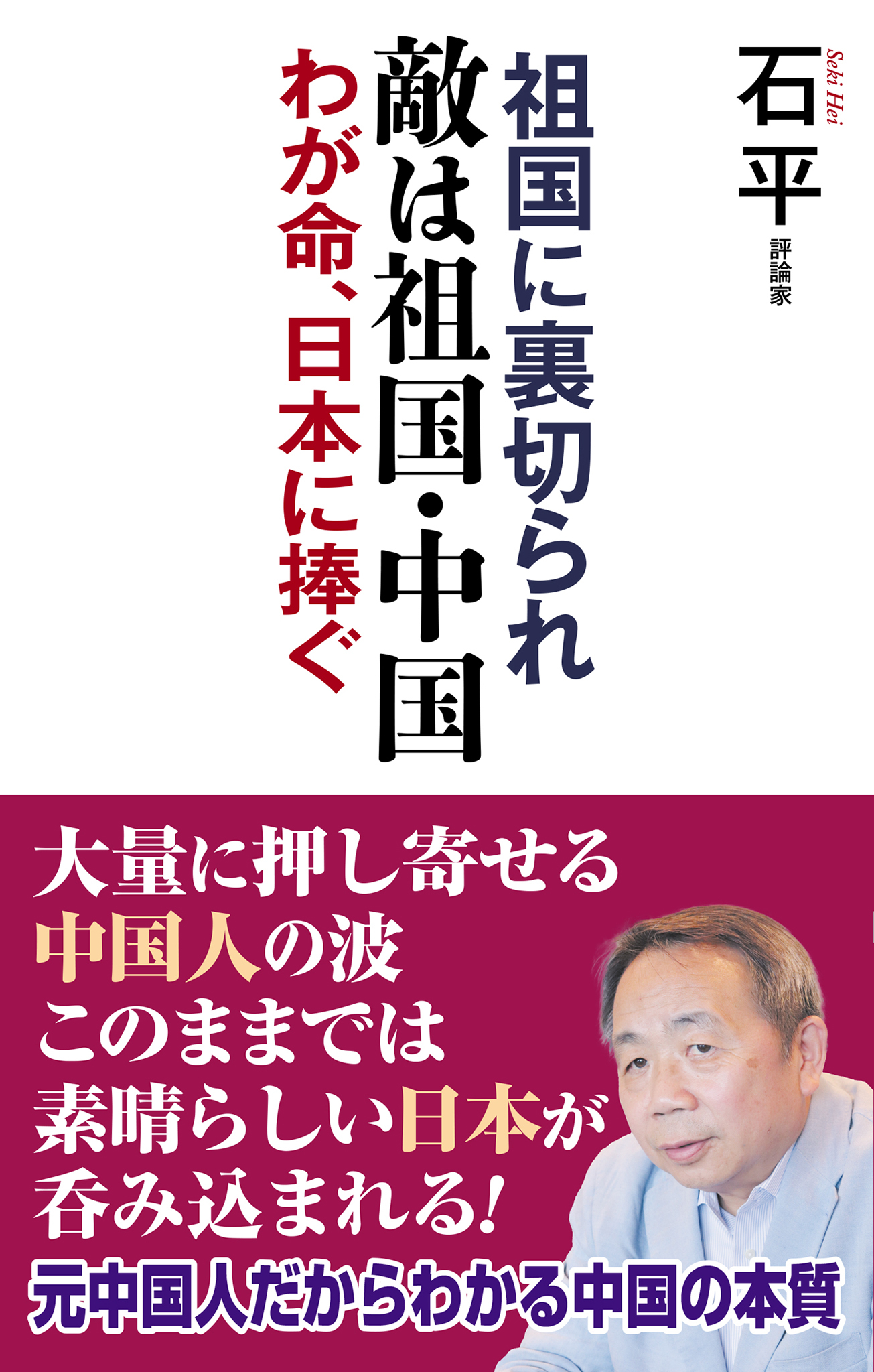 敵は祖国・中国