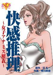 快感推理～女子アナミス照衣～