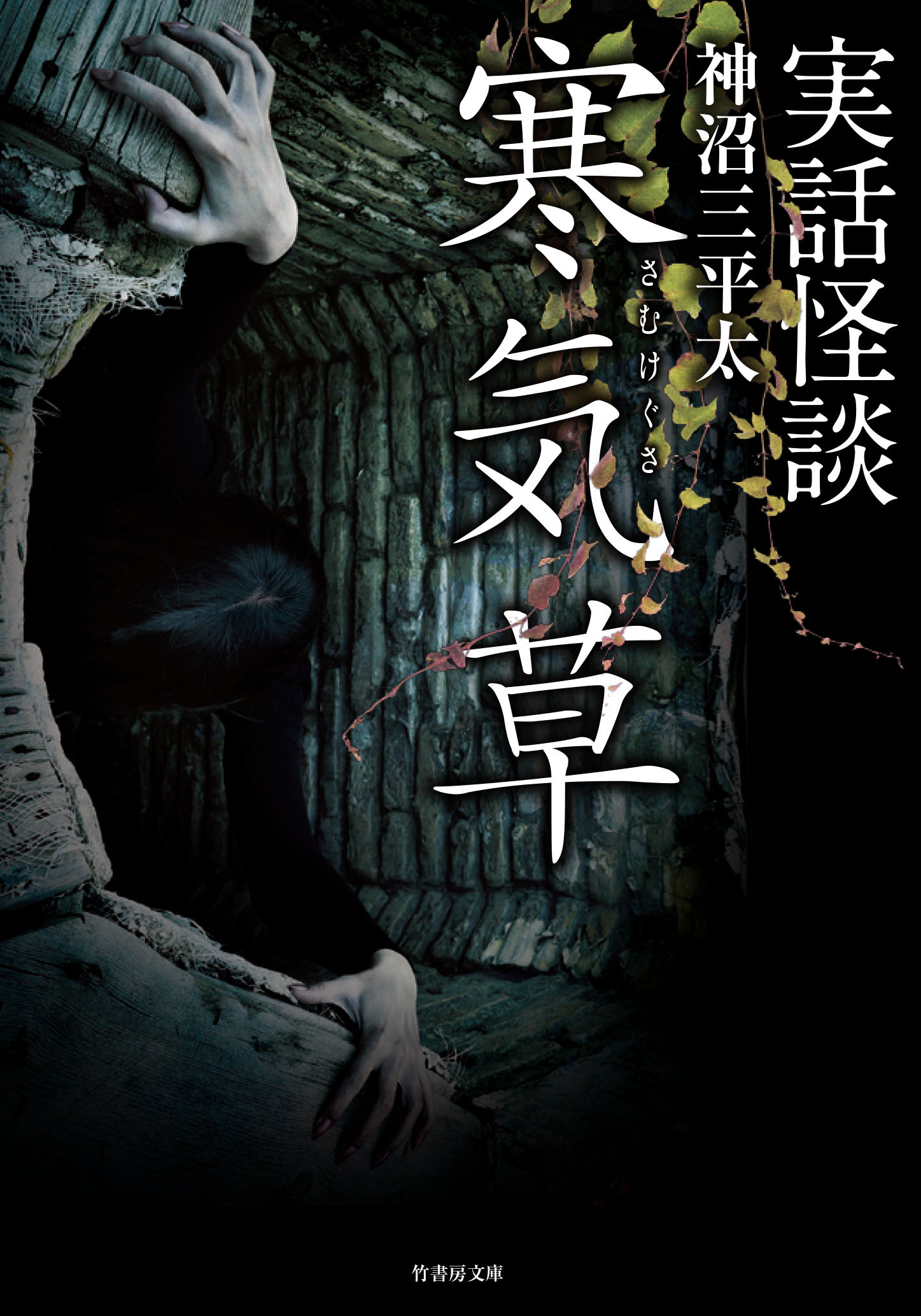 実話怪談　寒気草