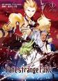 Fate/strange Fake (1)