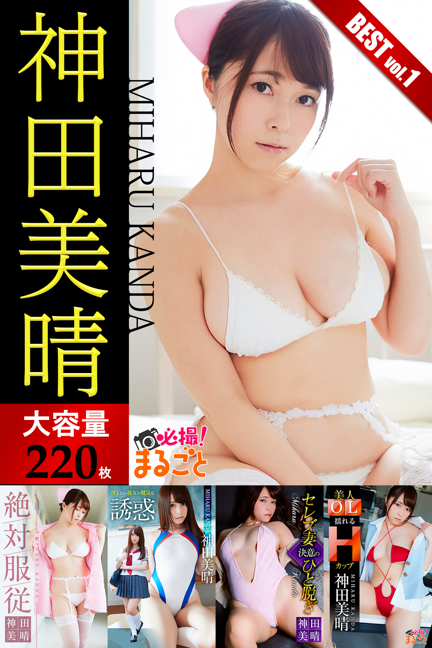 【大容量220枚】神田美晴 BEST vol.1