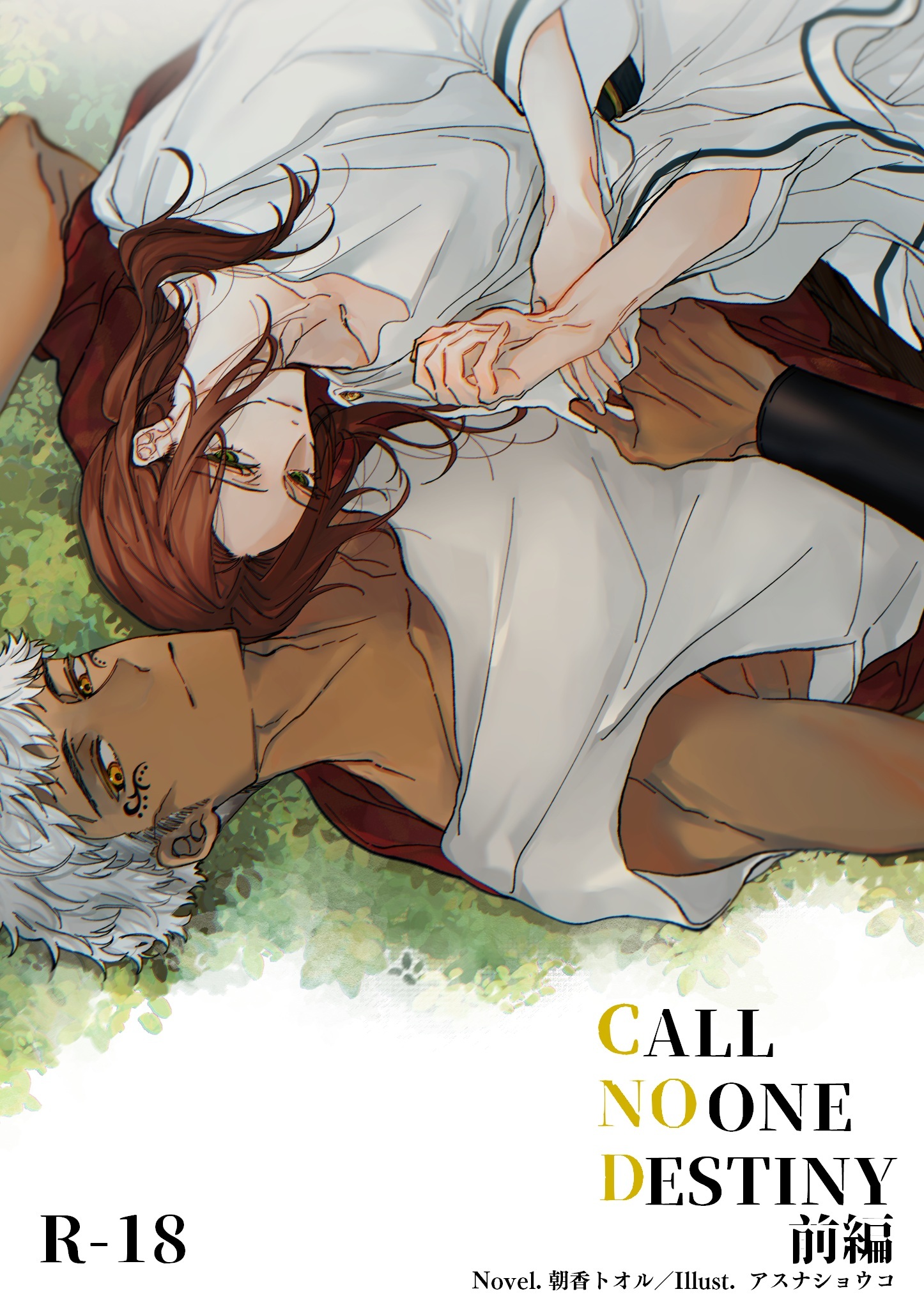 CALL NO ONE DESTINY　前編