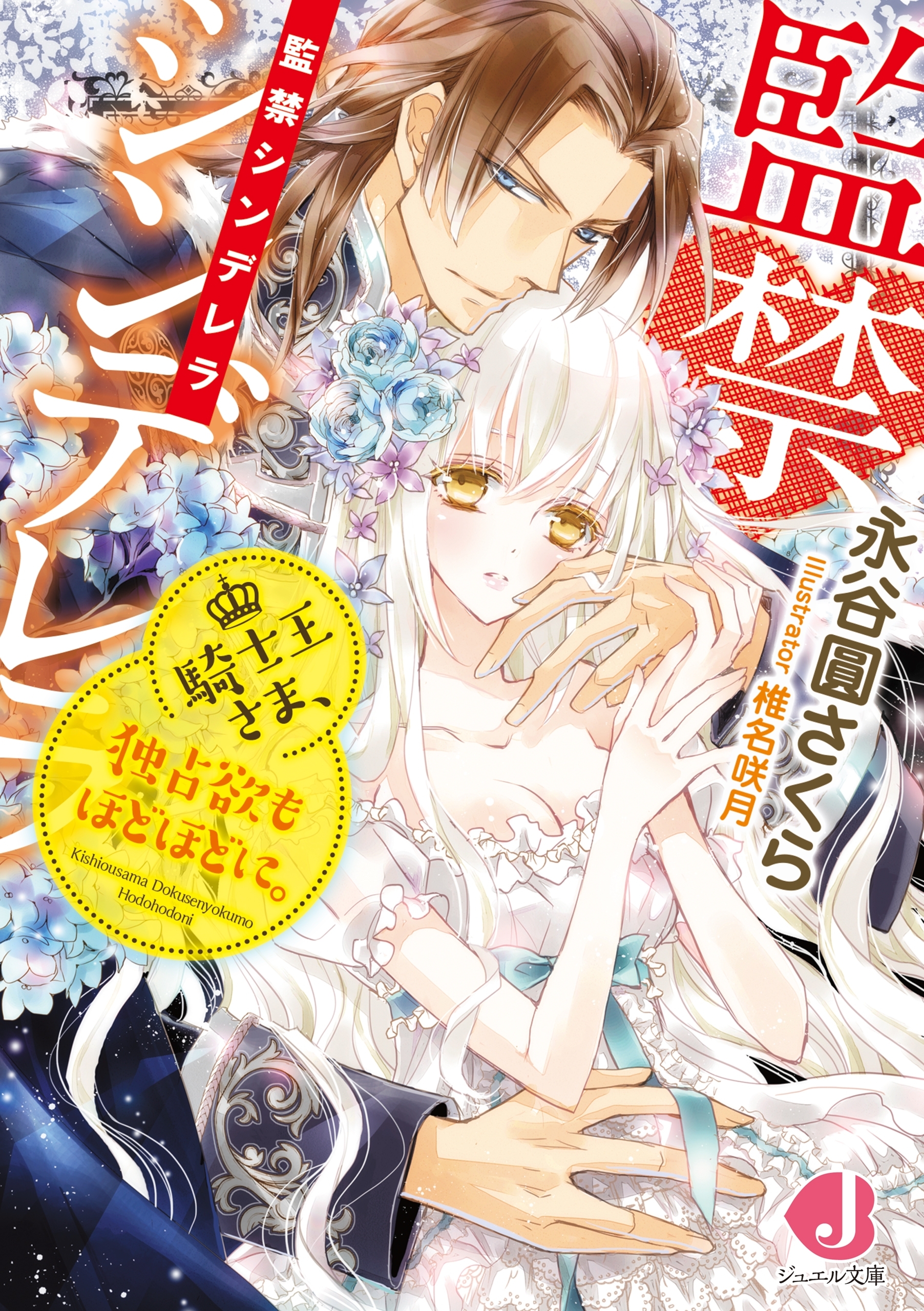 監禁シンデレラ