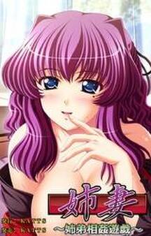 姉妻 ~姉弟相姦遊戯~