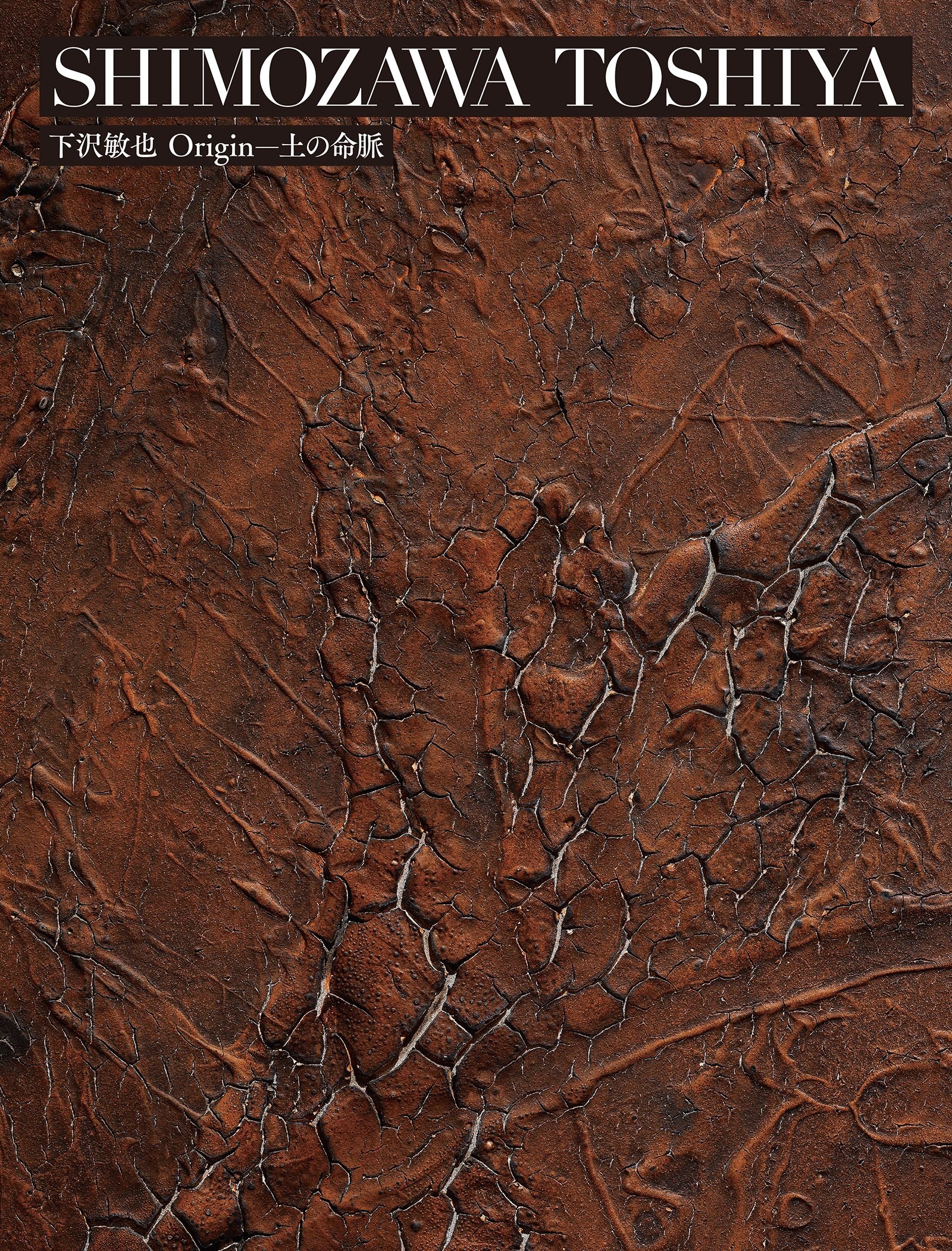 札幌美術展 下沢敏也 Origin―土の命脈 図録