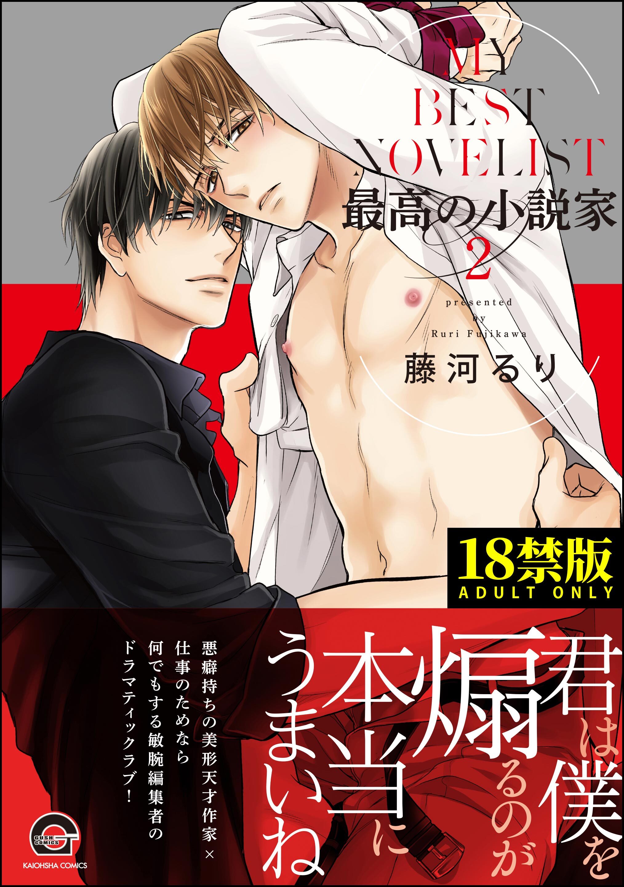 最高の小説家【極】【電子限定かきおろし漫画付】　2