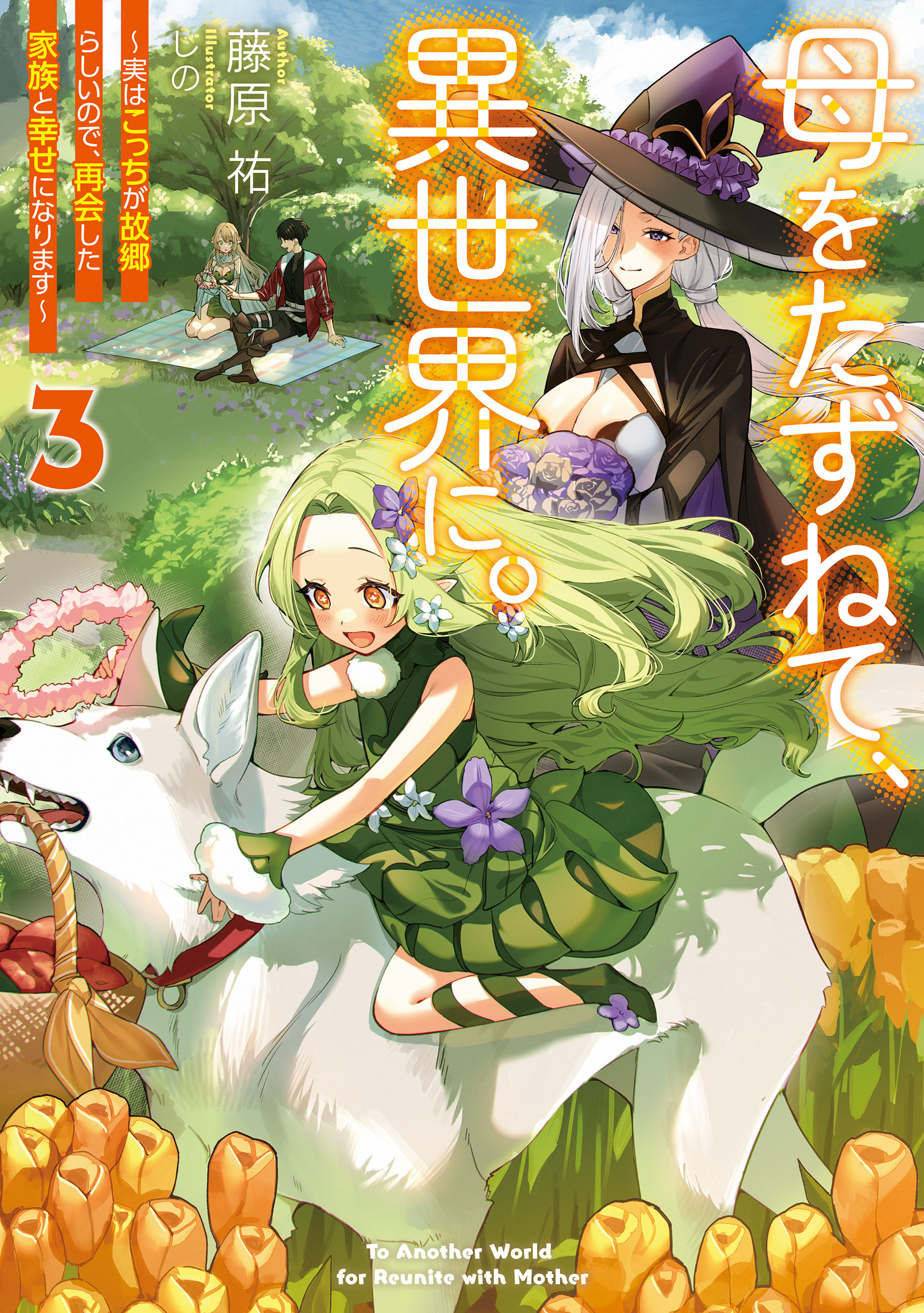 母をたずねて、異世界に。３　～実はこっちが故郷らしいので、再会した家族と幸せになります～
