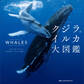 ビジュアル クジラ&イルカ大図鑑