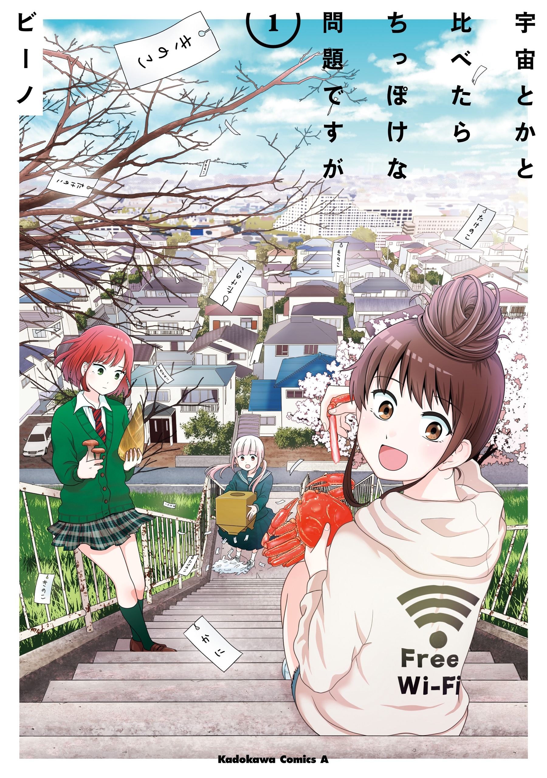 宇宙とかと比べたらちっぽけな問題ですが　（１）