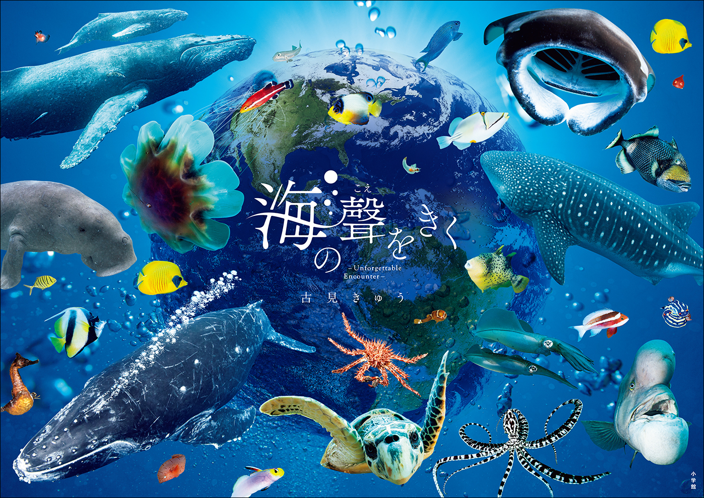 海の聲をきく　－Ｕｎｆｏｒｇｅｔａｂｌｅ　Ｅｎｃｏｕｎｔｅｒ－