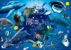 海の聲をきく -Unforgetable Encounter-