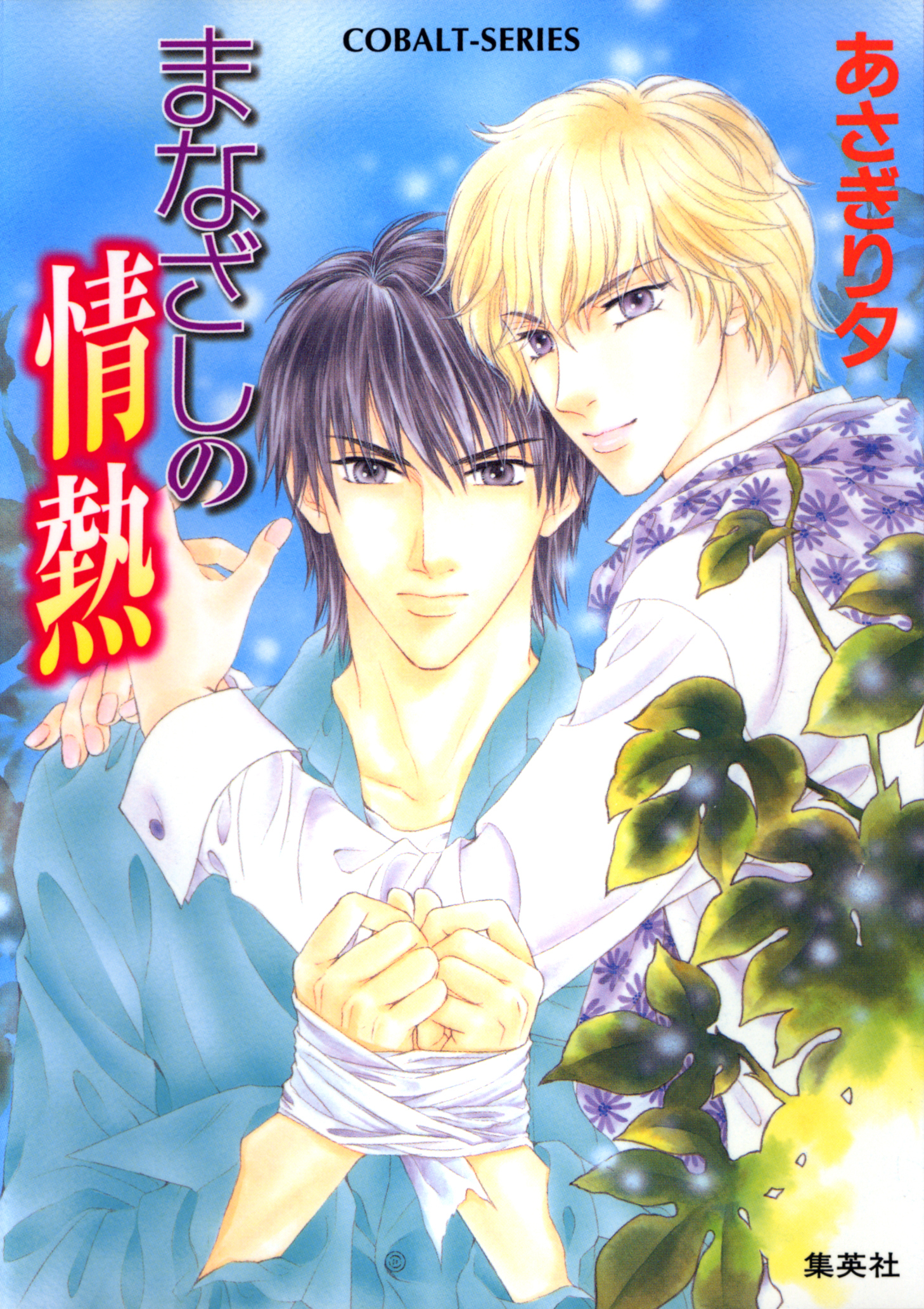 まなざしの情熱