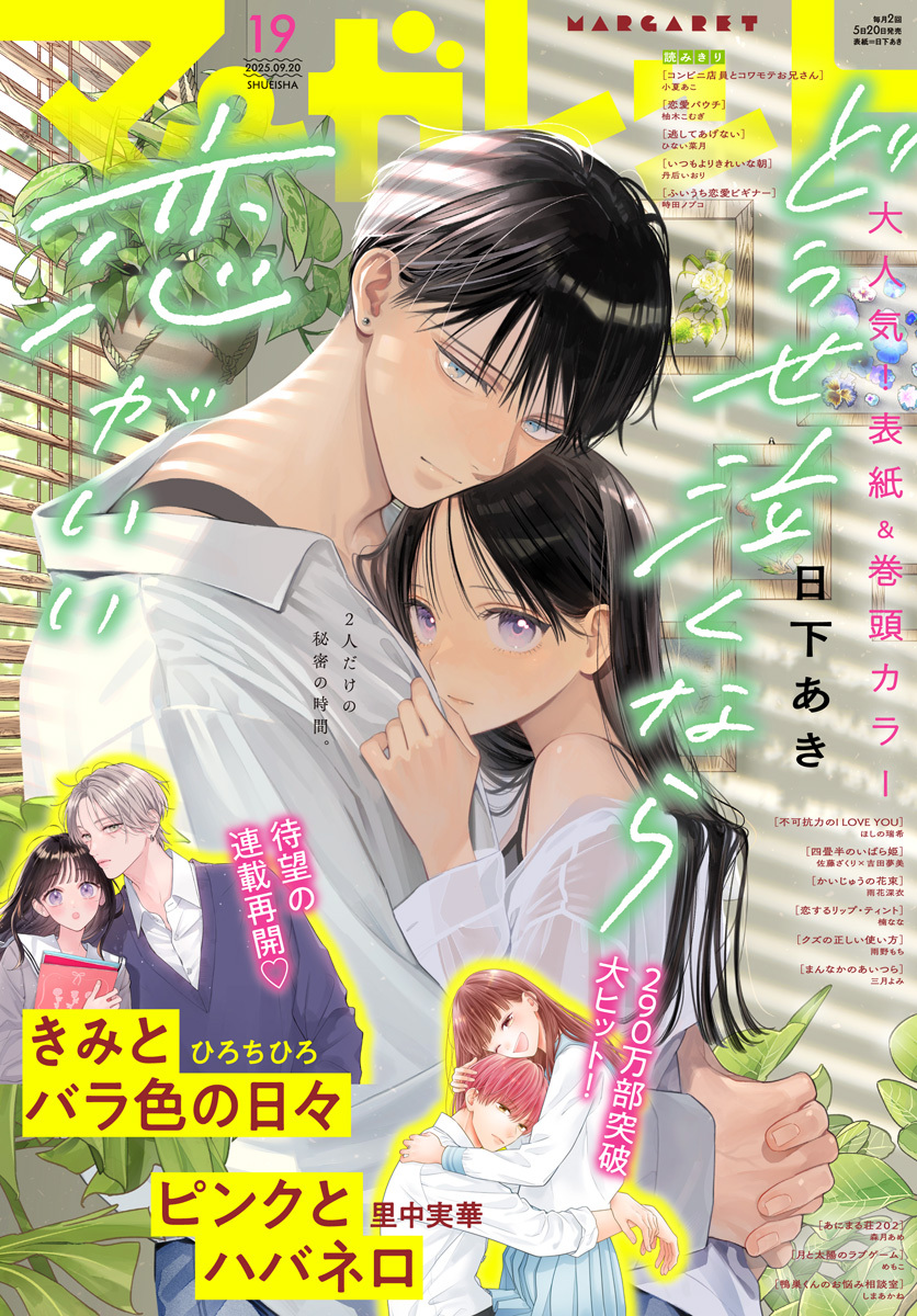 マーガレット 2025年19号