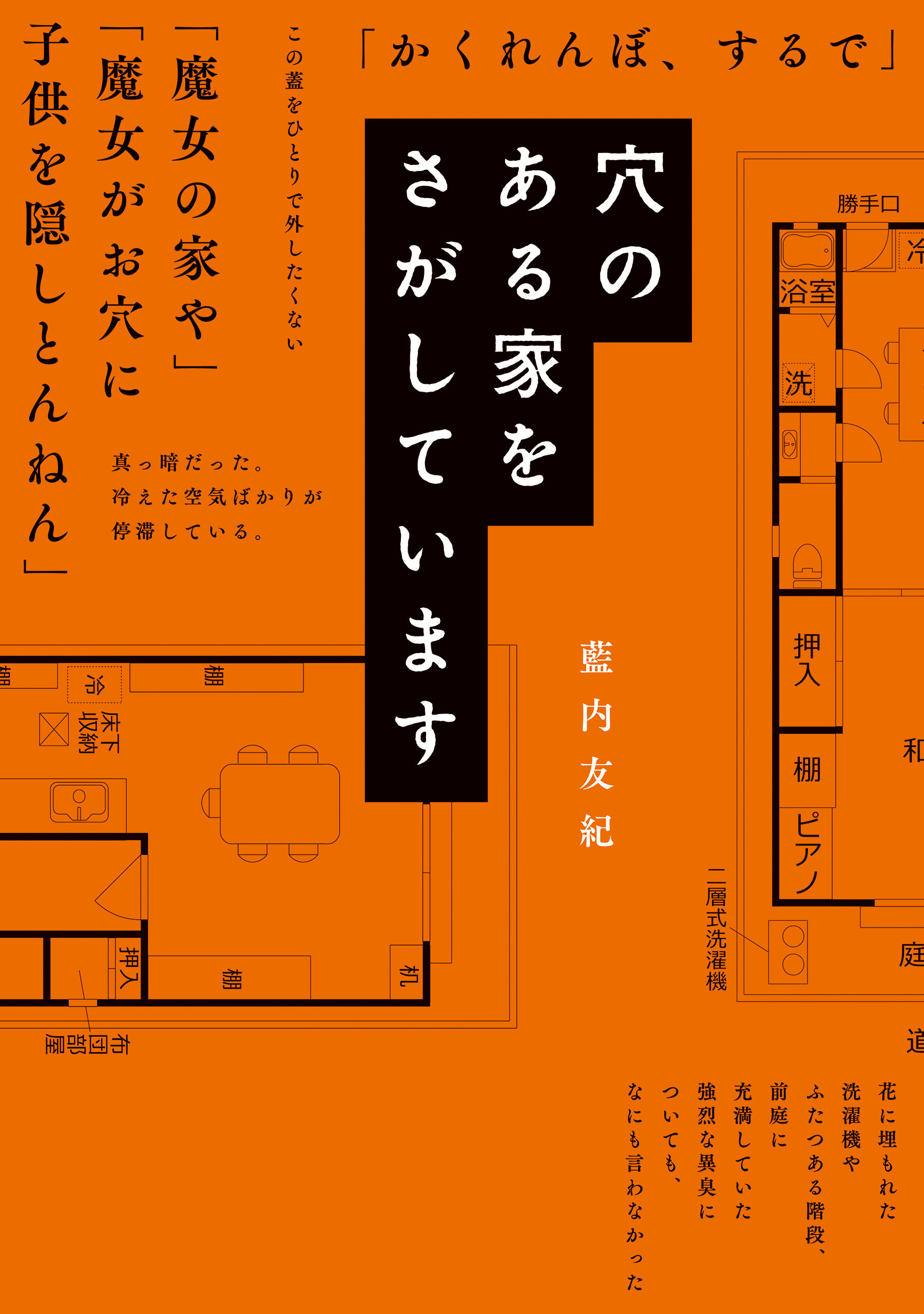 穴のある家をさがしています