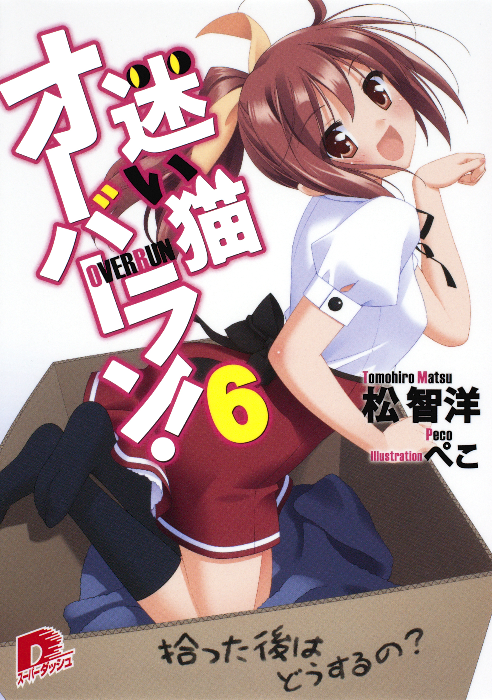 迷い猫オーバーラン！　６　拾った後はどうするの？