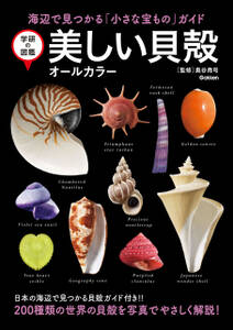 学研の図鑑 美しい貝殻 オールカラー