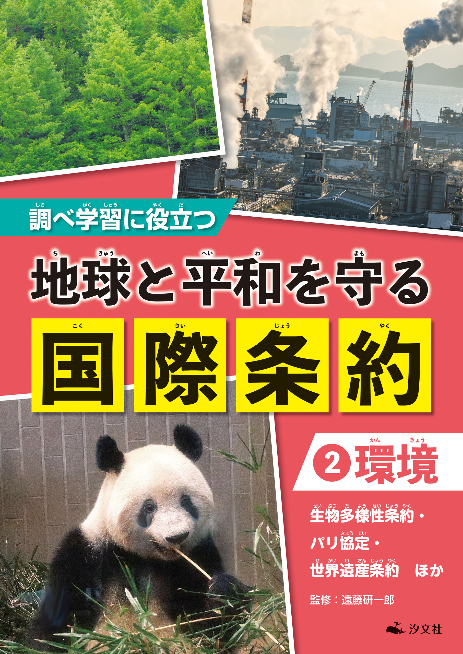 調べ学習に役立つ　地球と平和を守る 国際条約　（２）【環境】　生物多様性条約・パリ協定・世界遺産条約　ほか