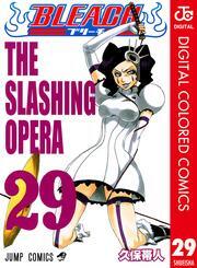 BLEACH カラー版 29