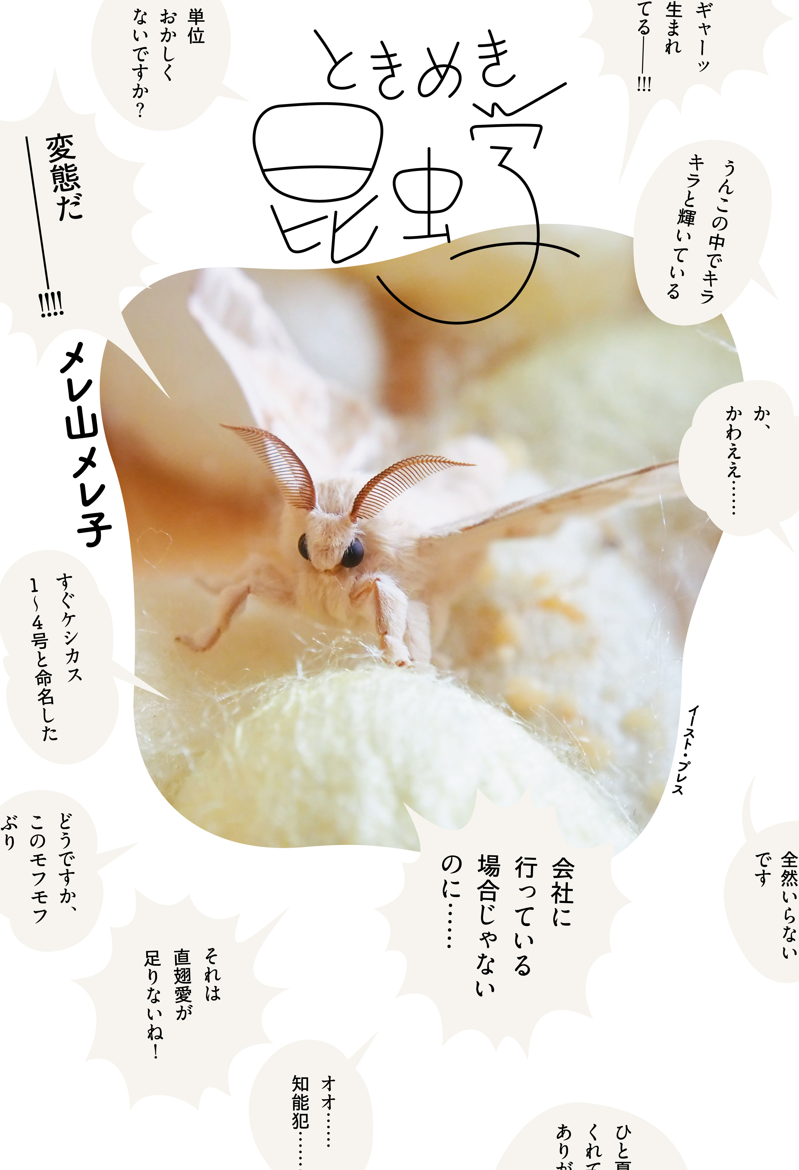 ときめき昆虫学