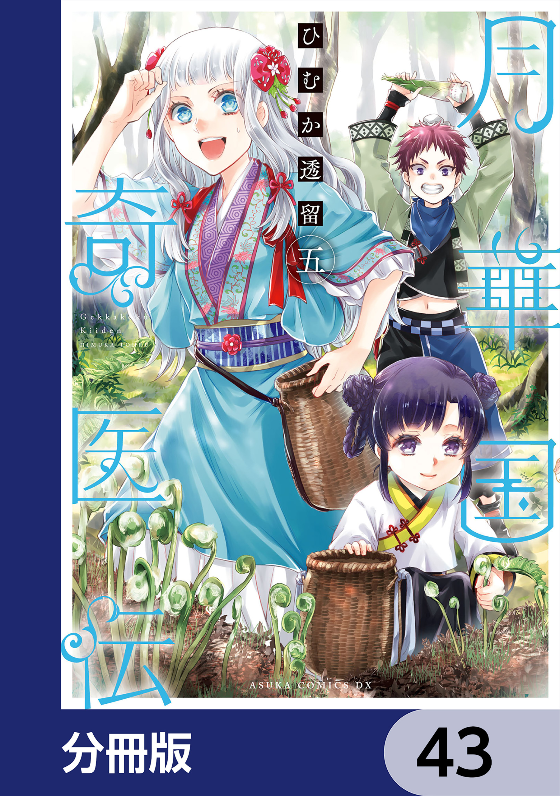 月華国奇医伝【分冊版】　43