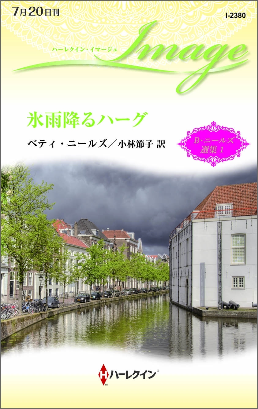 氷雨降るハーグ