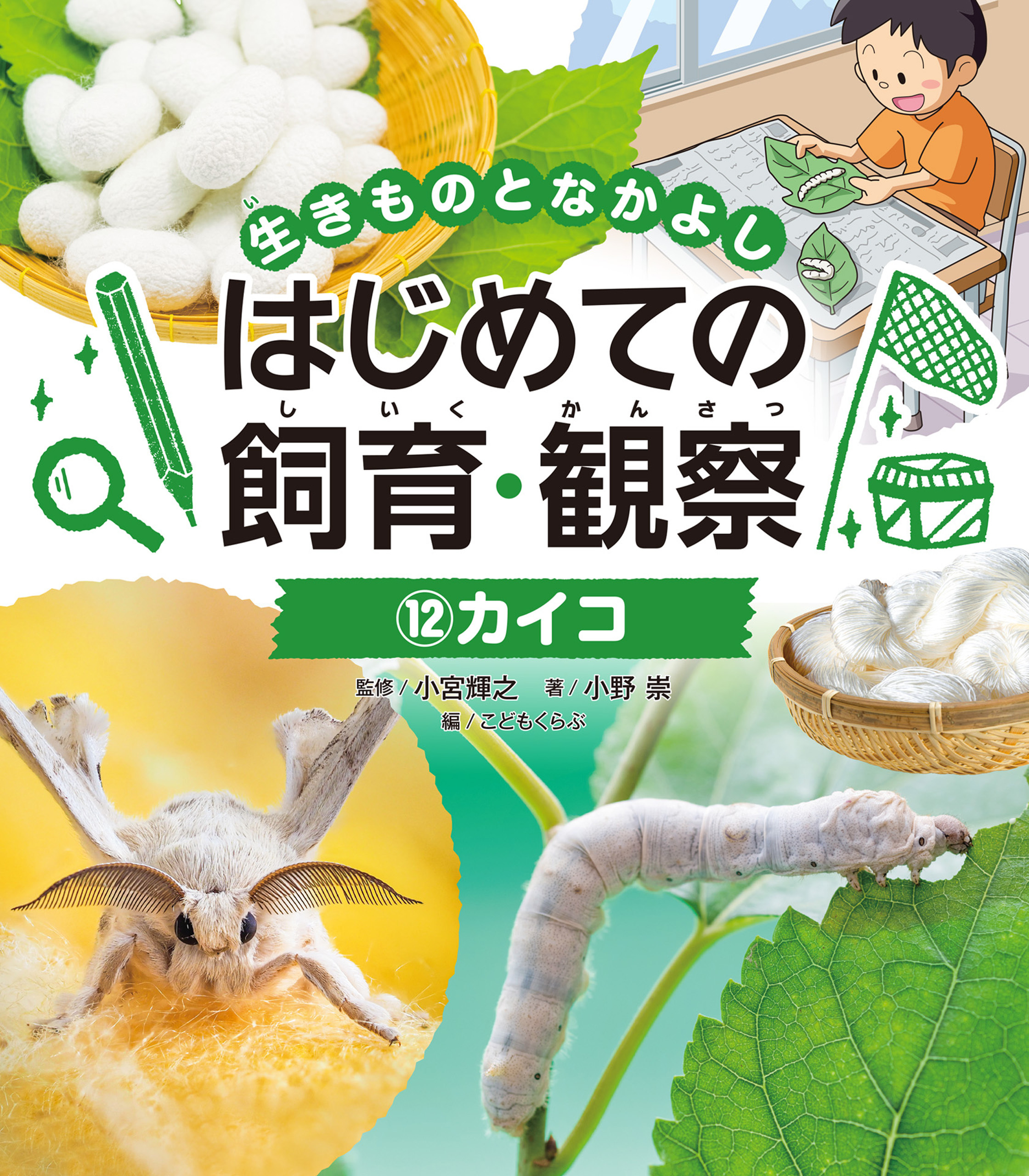 カイコ１２　生きものとなかよし　はじめての飼育・観察