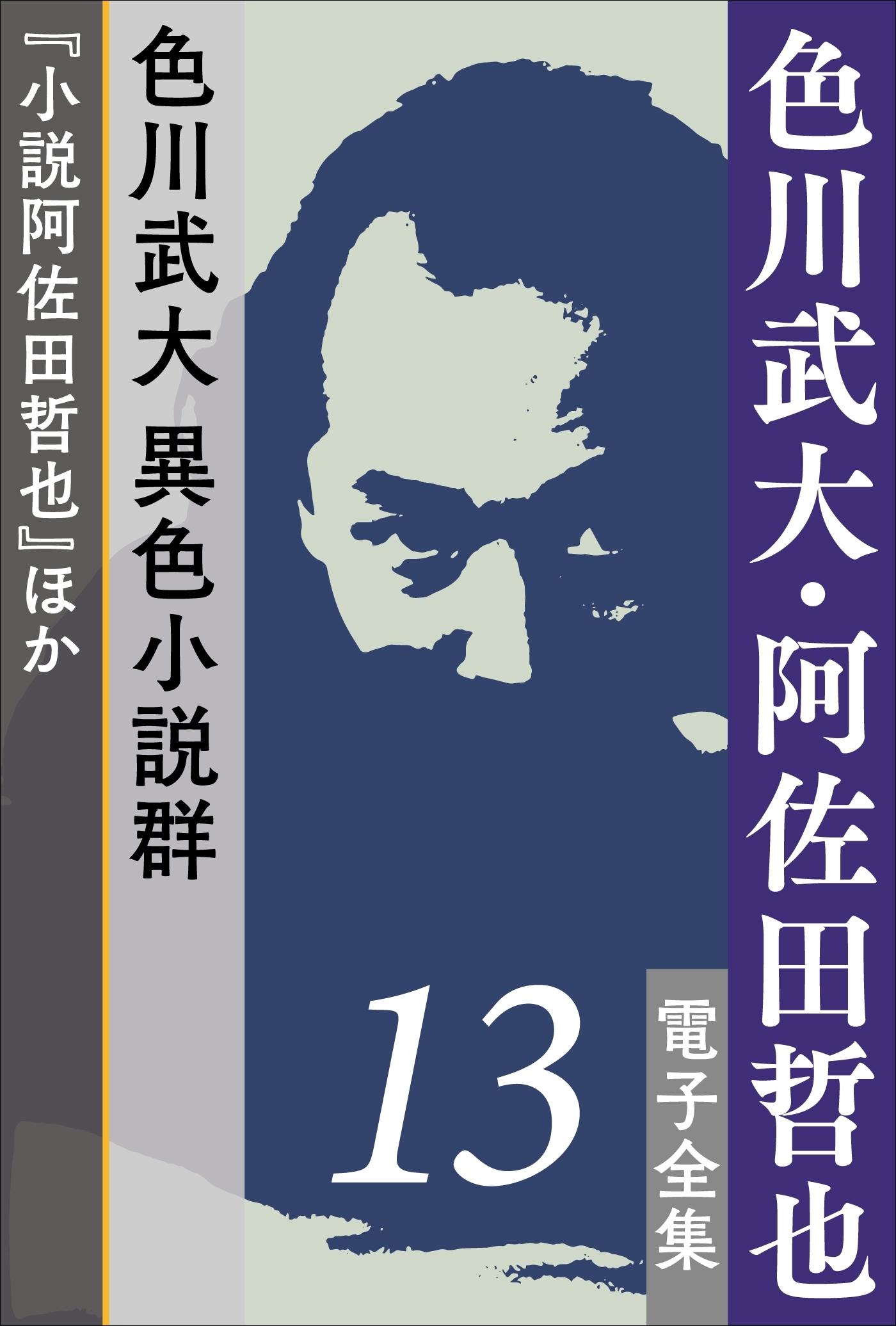 色川武大・阿佐田哲也 電子全集13 色川武大 異色小説群『小説阿佐田哲也』ほか