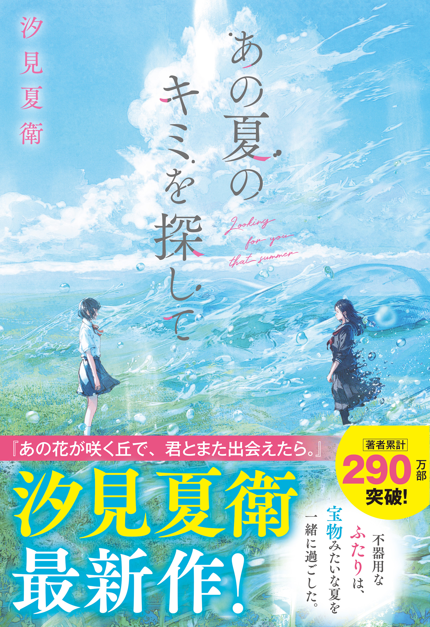 あの夏のキミを探して