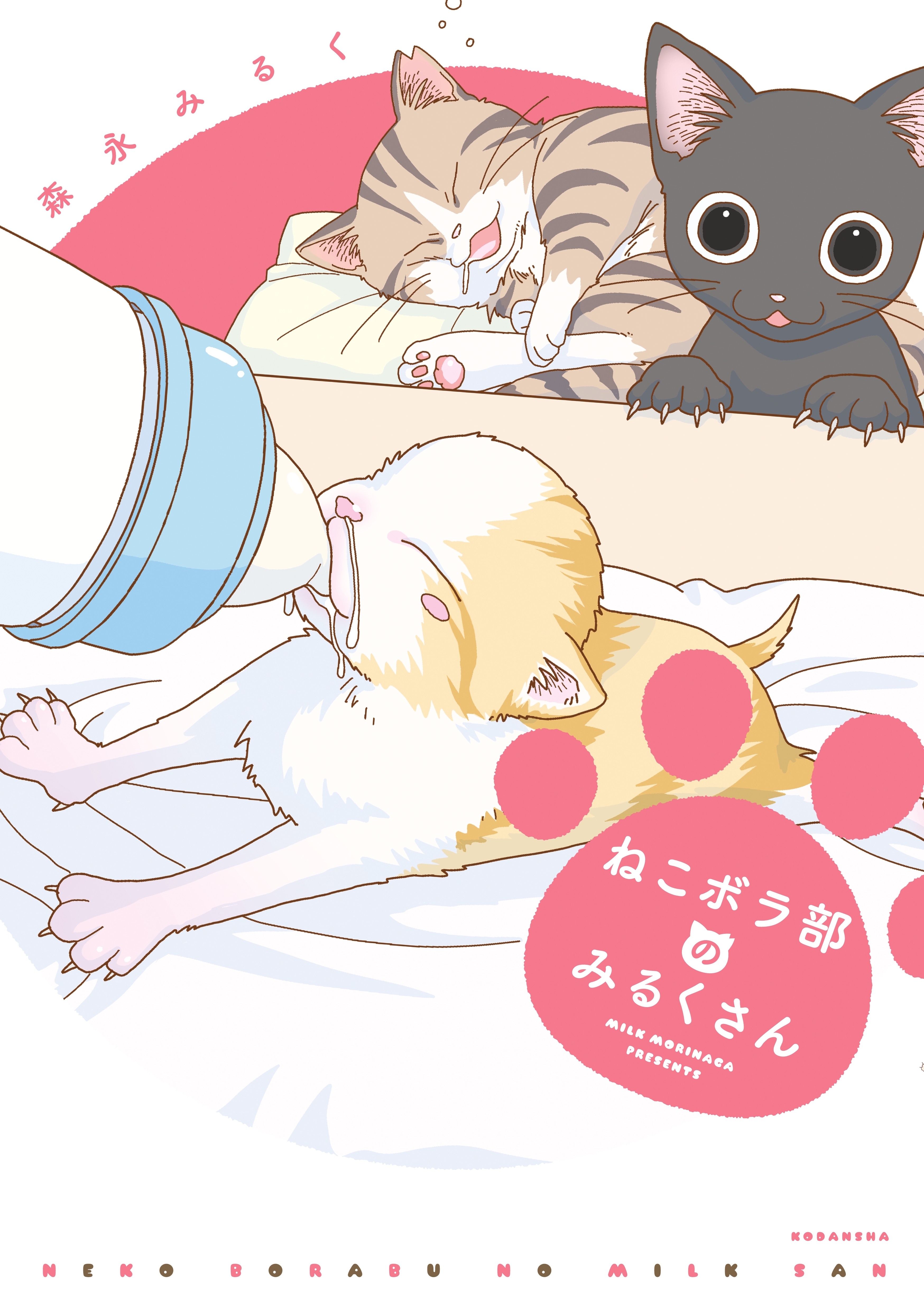 ねこボラ部のみるくさん 無料 試し読みなら Amebaマンガ 旧 読書のお時間です