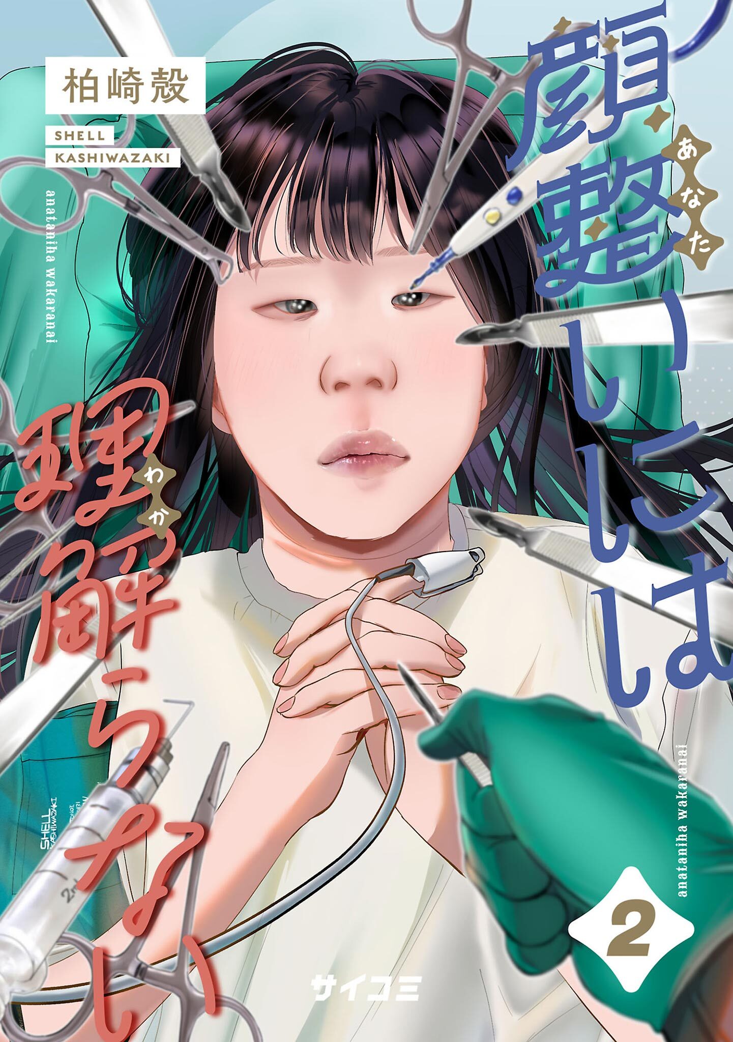 顔整いには理解らない 2