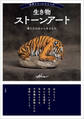 世界にたったひとつの生き物ストーンアート ~僕たちは石から生まれた~