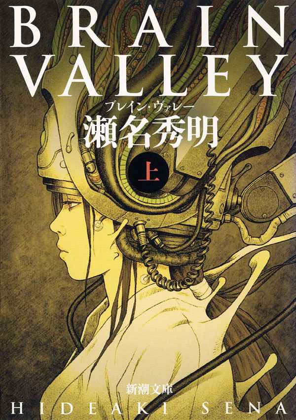 ＢＲＡＩＮ　ＶＡＬＬＥＹ（上）