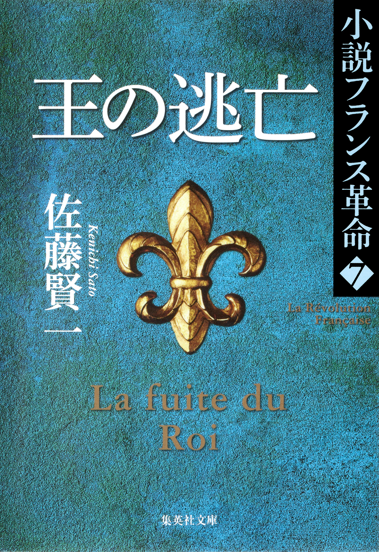王の逃亡　小説フランス革命７