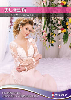 美しき誤解【ハーレクインSP文庫版】