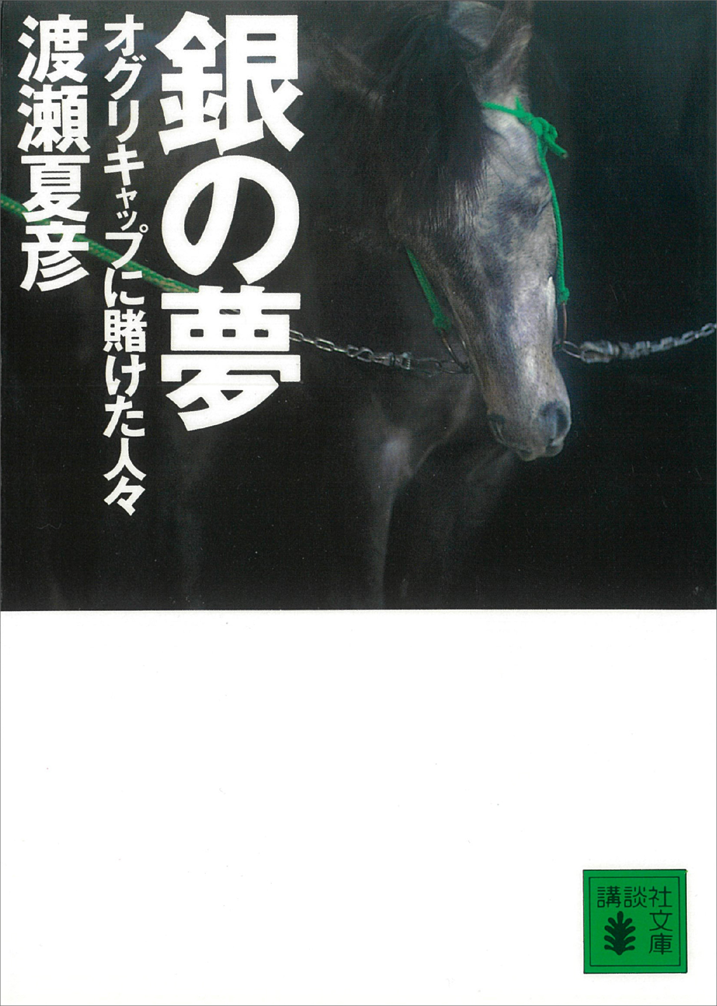 銀の夢　オグリキャップに賭けた人々