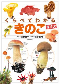 くらべてわかる きのこ (原寸大)