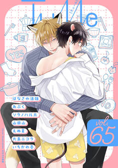 Tulle vol.65